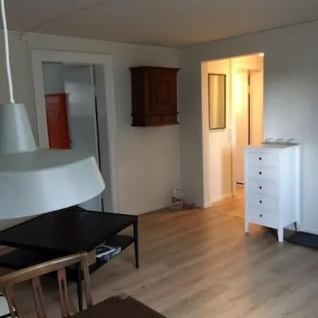 Lys Kaelderlejlighed I Hjertet Af * Odense