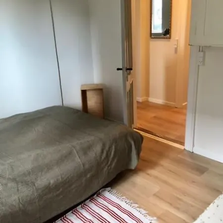 Lys Kaelderlejlighed I Hjertet Af Odense